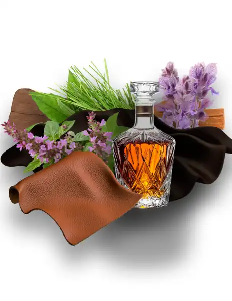 Velvet Noir Clean Fragrance - Clean Fragrances